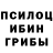 Галлюциногенные грибы ЛСД miguel Estigarribia