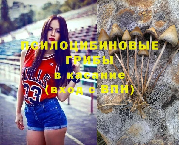 эйфоретик Вяземский