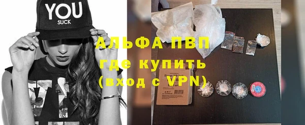 эйфоретик Вяземский