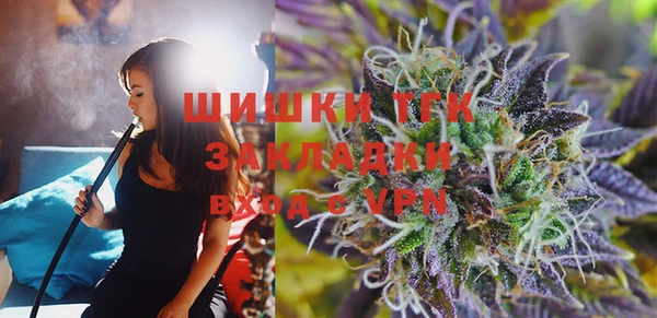 эйфоретик Вяземский