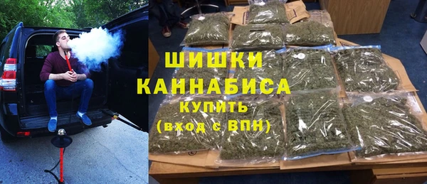 эйфоретик Вяземский