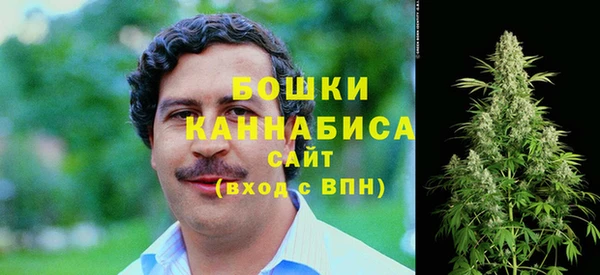эйфоретик Вяземский