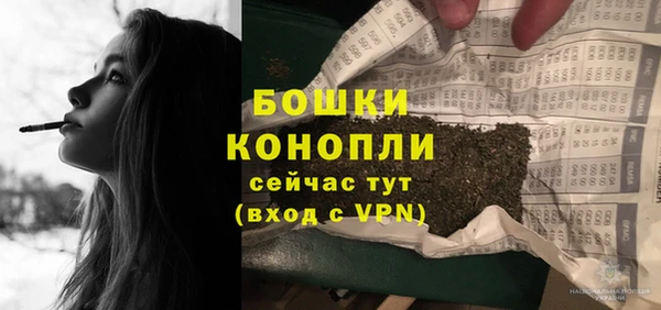 эйфоретик Вяземский